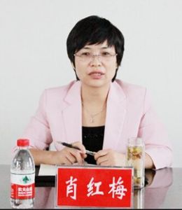 肖紅梅[湖北省應城市委書記]