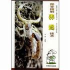圖文精解養蠍技術 圖文精解養蠍技術