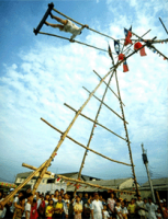 鞦韆賽會 鞦韆賽會