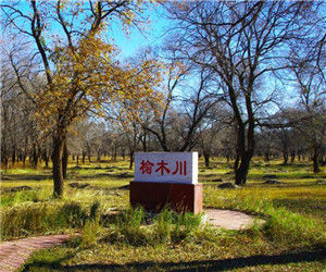 游榆木川森林公園
