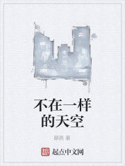 不在一樣的天空