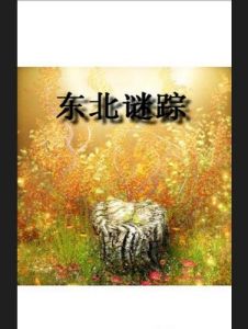 東北謎蹤 東北謎蹤