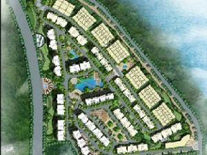 瑞陽首座 瑞陽首座