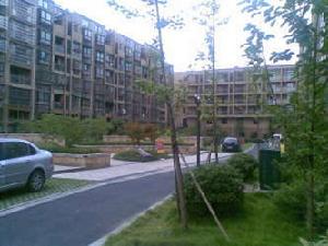 北湖綠洲 北湖綠洲