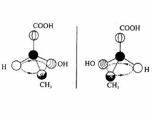 立體異構現象 立體異構現象