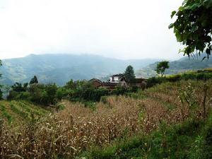 幫包自然村 幫包自然村