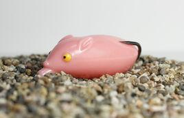 雷強釣法 雷強釣法