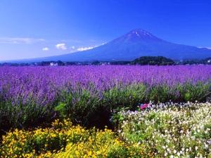 日本名古屋