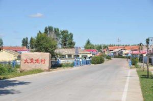 大荒地村 大荒地村