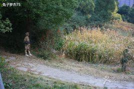 江灣濕地公園 江灣濕地公園