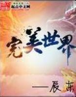 王長生[辰東小說《完美世界》人物]