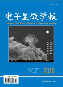 電子顯微學報 電子顯微學報