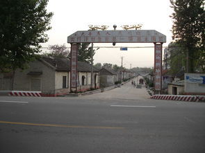 安辛莊村 安辛莊村