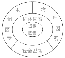 醫學生態學 醫學生態學