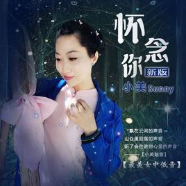 懷念你[小美Sunny演唱歌曲]