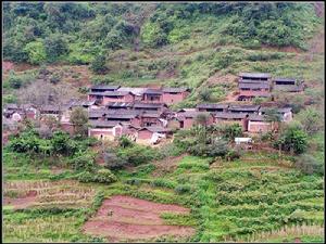 小核桃箐村全貌