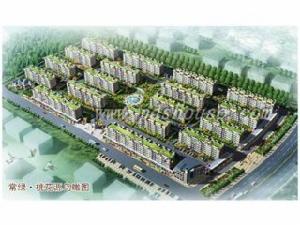 常綠桃花源 常綠桃花源