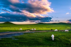 中國馬都_錫林郭勒