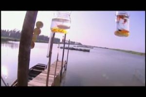 《情迷個半月》