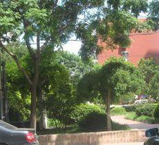 和平里十三區 和平里十三區