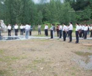 內鄉板場 內鄉板場