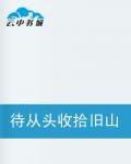 待從頭收拾舊山河 待從頭收拾舊山河