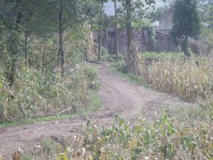 草寇山自然村 草寇山自然村