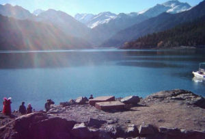 大安國家森林公園 大安國家森林公園
