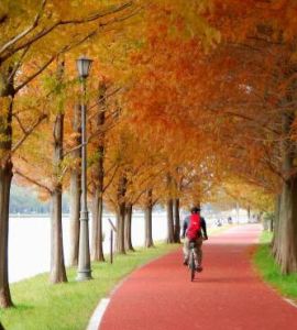 北京近山松海綿透水鋪裝