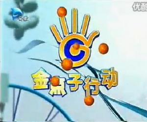 《金點子行動》