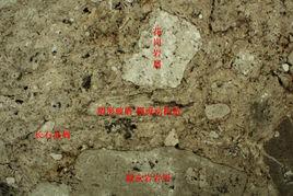 岩礦鑑定取樣 岩礦鑑定取樣