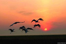 烏裕爾河 烏裕爾河