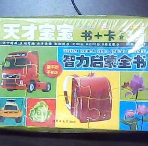 天才寶寶書 天才寶寶書