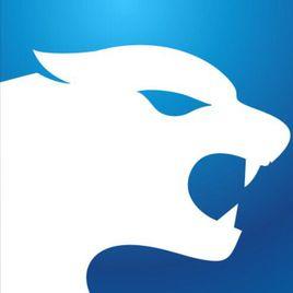 美豹金融 美豹金融