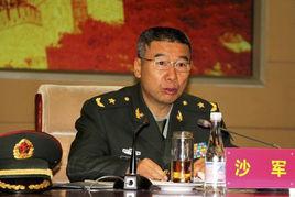 沙軍[東部戰區副參謀長]