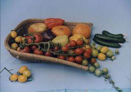 龍泉務特菜基地 龍泉務特菜基地