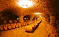 張裕酒窖 張裕酒窖