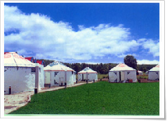 克勒溝林場 克勒溝林場