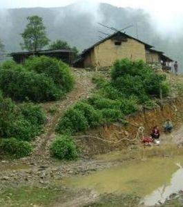 母雞沖村 母雞沖村