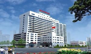 多能細胞腎臟再生療法 多能細胞腎臟再生療法