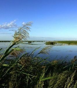 圖牧吉自然保護區 圖牧吉自然保護區