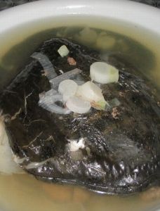 燉甲魚湯
