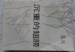 《沉重的翅膀》