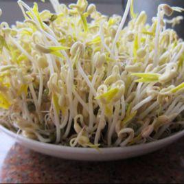 自製牙餅 自製牙餅