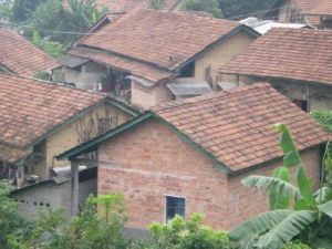 小牛場村 小牛場村