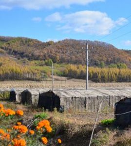 紅廟子鄉 紅廟子鄉