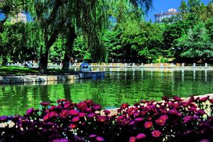 撫順市勞動公園 撫順市勞動公園