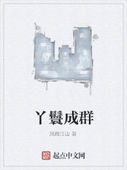 丫鬟成群 丫鬟成群