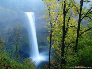 紫金山森林公園