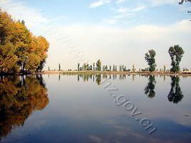 石河子政府網 石河子政府網